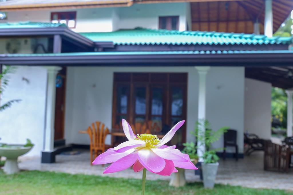 Villa Green Cottage Hikkaduwa Eksteriør bilde